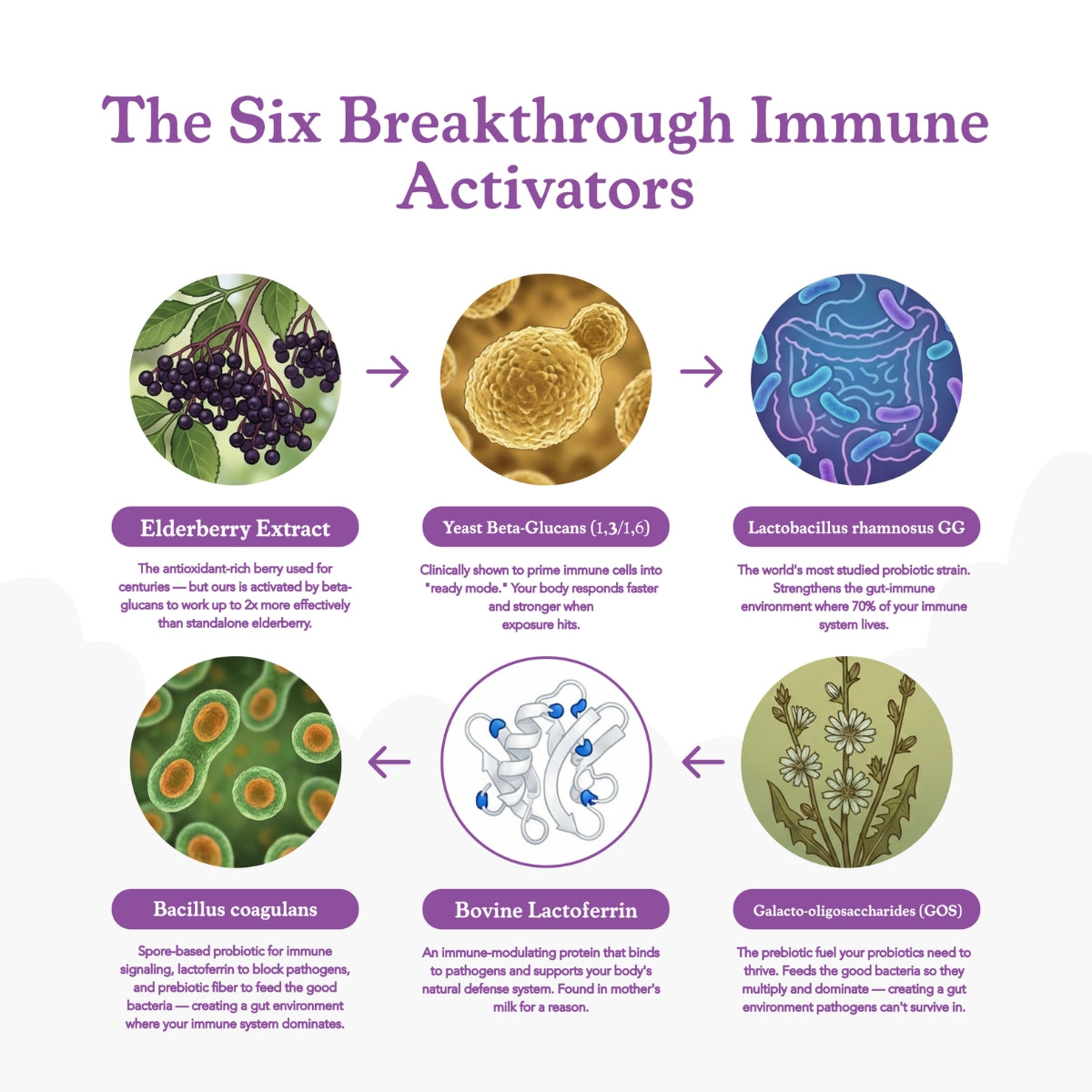 40oz insulated mug with a phone holder and free gifts included sign.